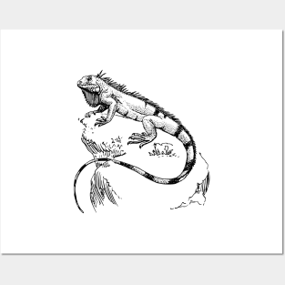 Iguana Picture Hand drawn Posters and Art